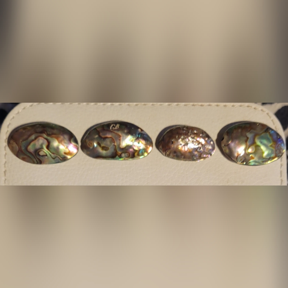 Abalone Beads, Set of 4